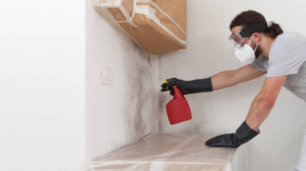 Professional Mold Removal technician working in Framingham, MA