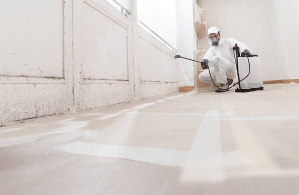 24/7 Emergency Mold Removal experts in Framingham, MA